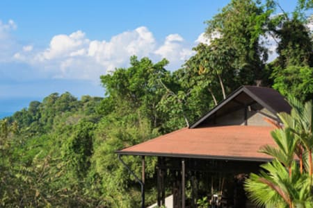 lodge