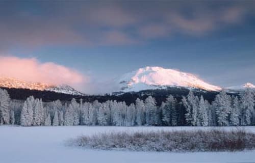 Snow Goose Festival 2018 – Chico California