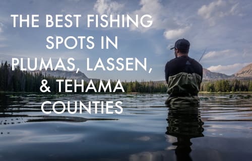 The Best Fishing Spots in Plumas, Lassen, & Tehama Counties