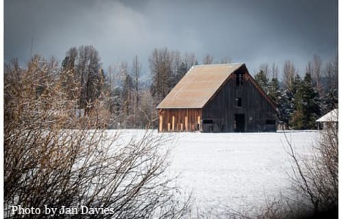 Help Feather River Land Trust Save the Historic Olsen Barn