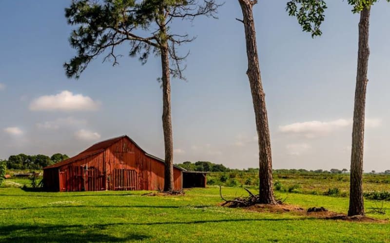 Blog Crawfish Haven Bed & Breakfast in Kaplan, Louisiana