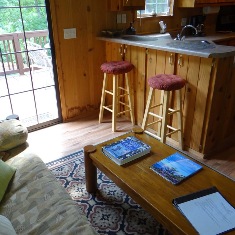 Balsam Mountain Cabin | Cabins | Candler (Asheville ...