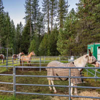 Horse corrals