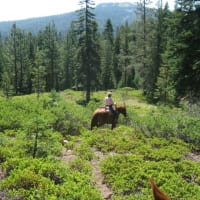 Trail at Indian Lake