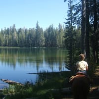 Caribou Wildernes