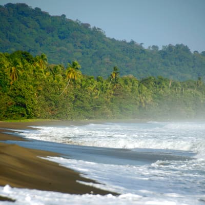 Hotel Banana Azul | Puerto Viejo, Costa Rica | Beachfront Hotel 🌴