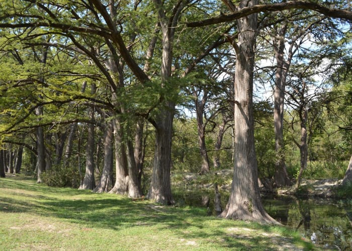 Utopia River Retreat Riverfront Cabin Rentals in Utopia, TX