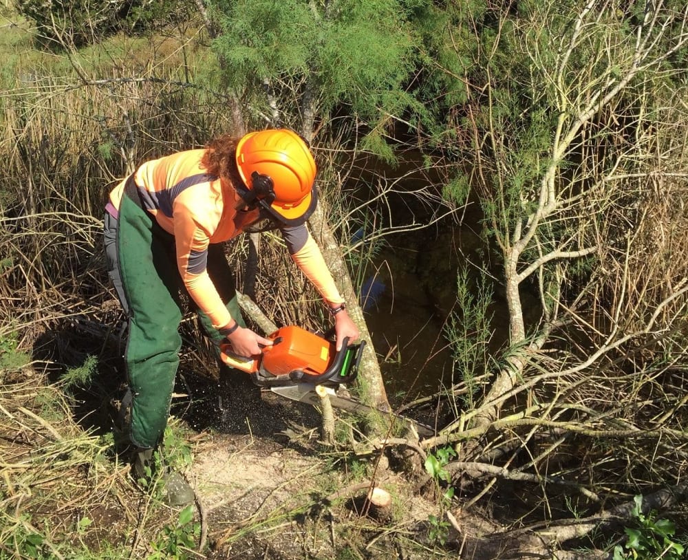 Invasive Species Management | The Lodge On Little St. Simons Island Blog