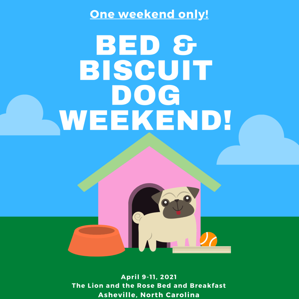 Bed & Biscuit Dog Weekend at The Lion and the Rose
