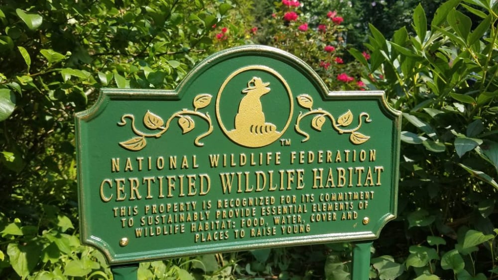 Our Certified Wildlife Garden