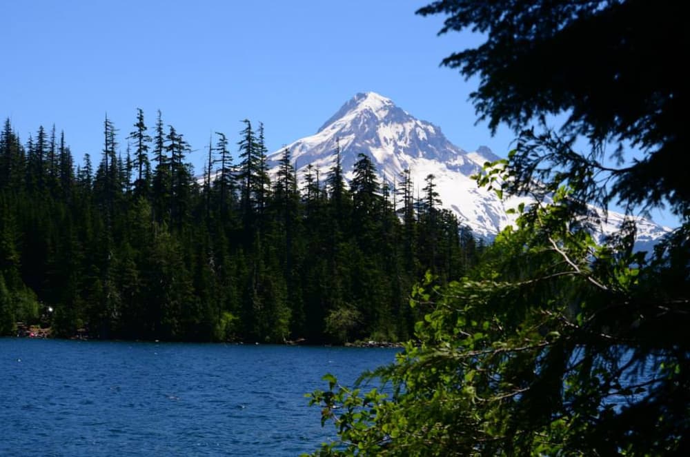 hikes near mt hood