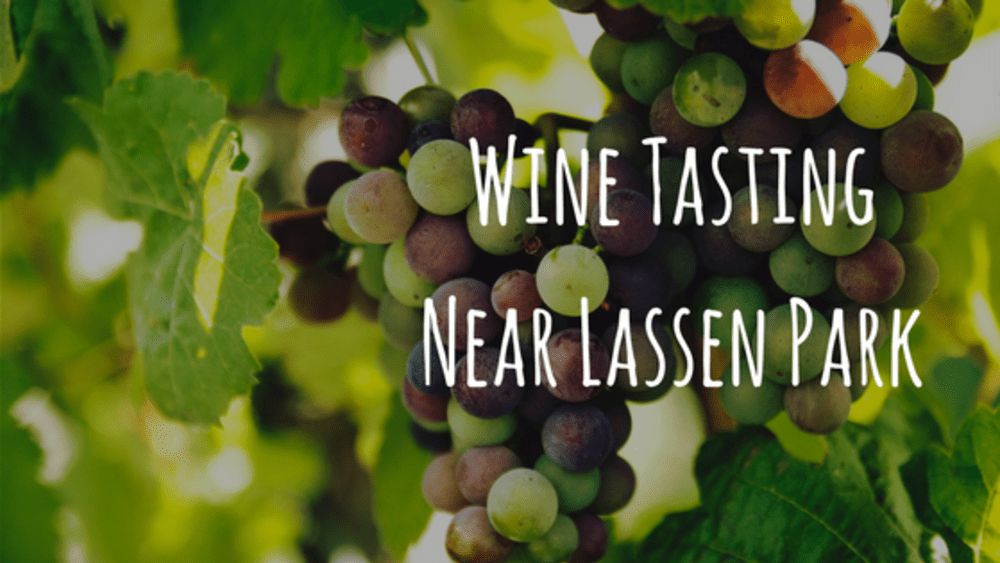 Wine Tasting Near Lassen Park