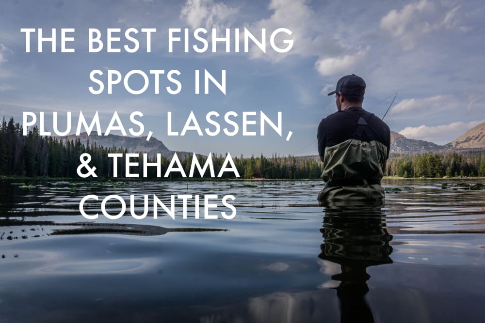 The Best Fishing Spots in Plumas, Lassen, & Tehama Counties