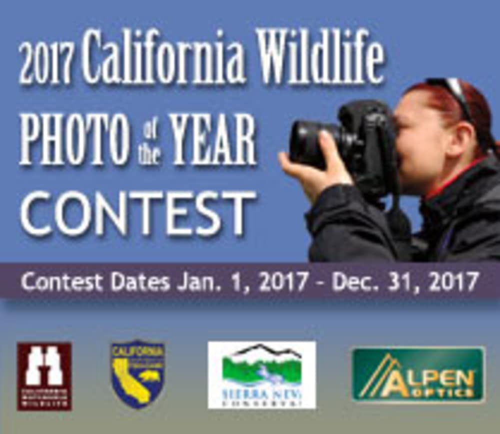 California Watchable Wildlife Photography Contest 2017