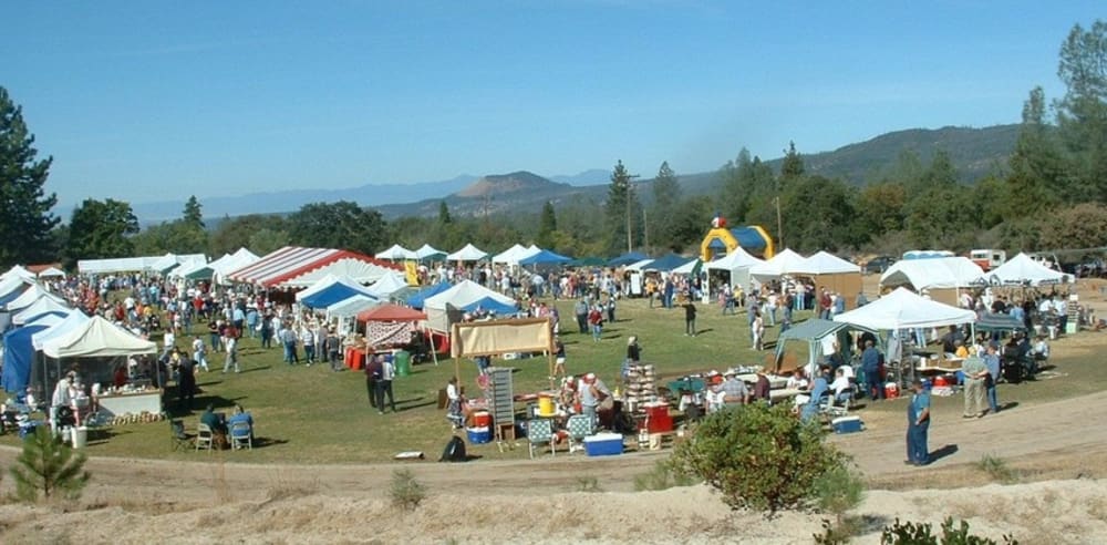 Wine Tasting and Annual Manton Apple Festival