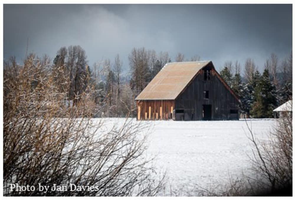 Help Feather River Land Trust Save the Historic Olsen Barn
