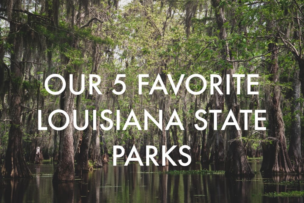 Our 5 Favorite Louisiana State Parks | Louisiana Bed and Breakfast ...