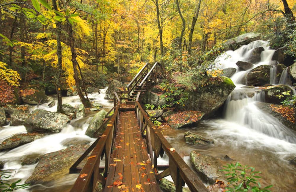 fall-foliage-forecast-for-western-north-carolina-mountains-2018