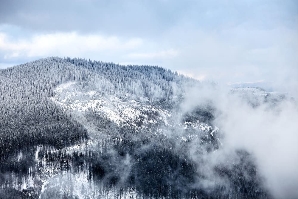 Top 5 Winter Things To Do In Waynesville Nc Brookside Mountain