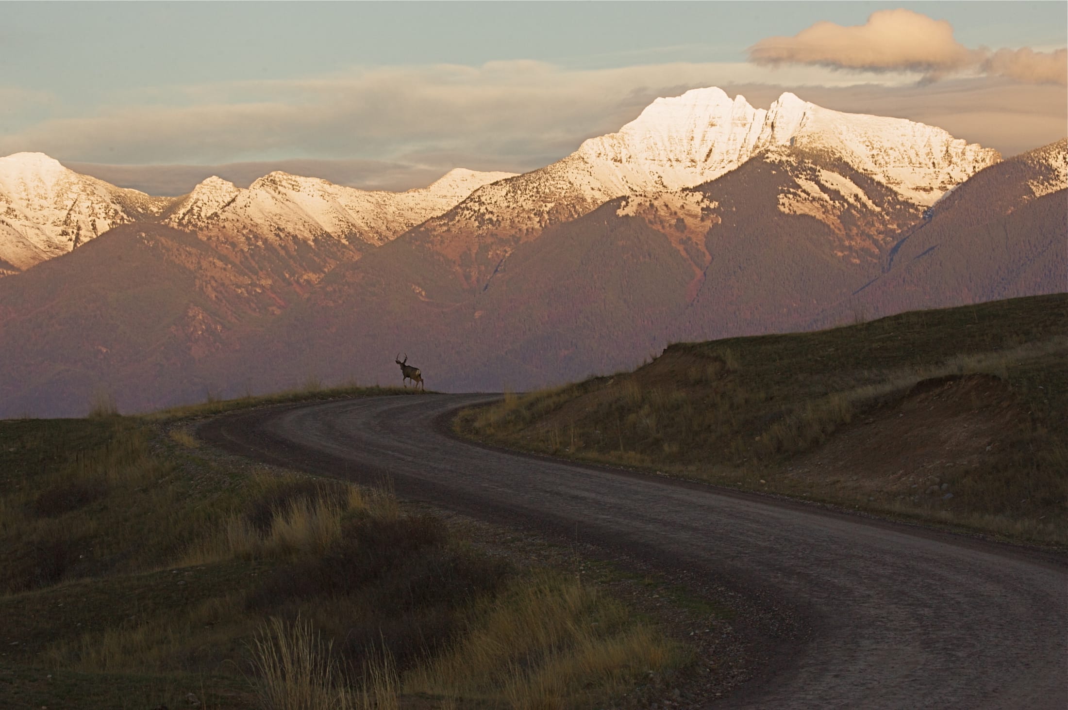 Ninepipes Lodge Contact Us Charlo Montana