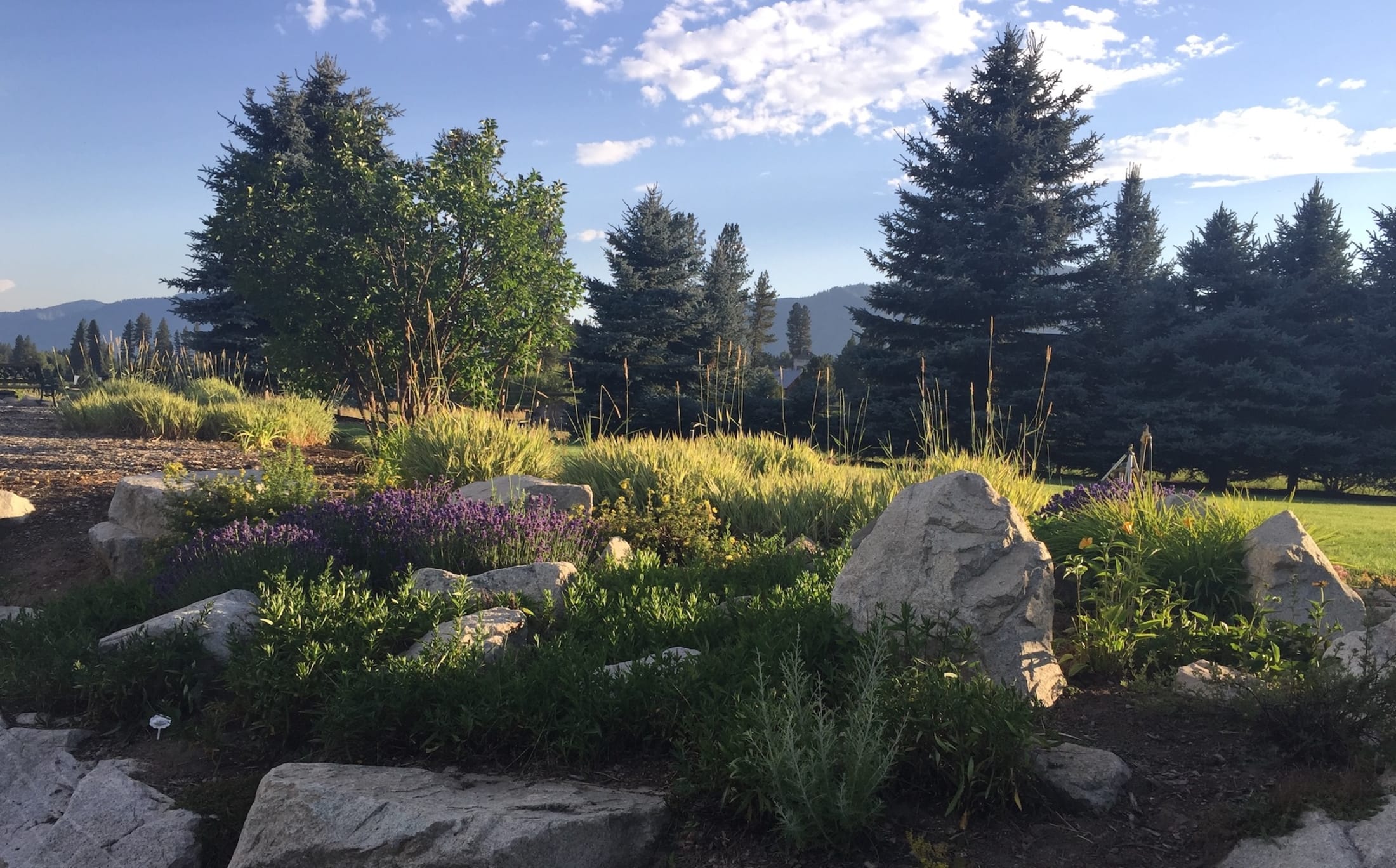 Explore Garden Valley, Idaho Wild Side Bed & Breakfast
