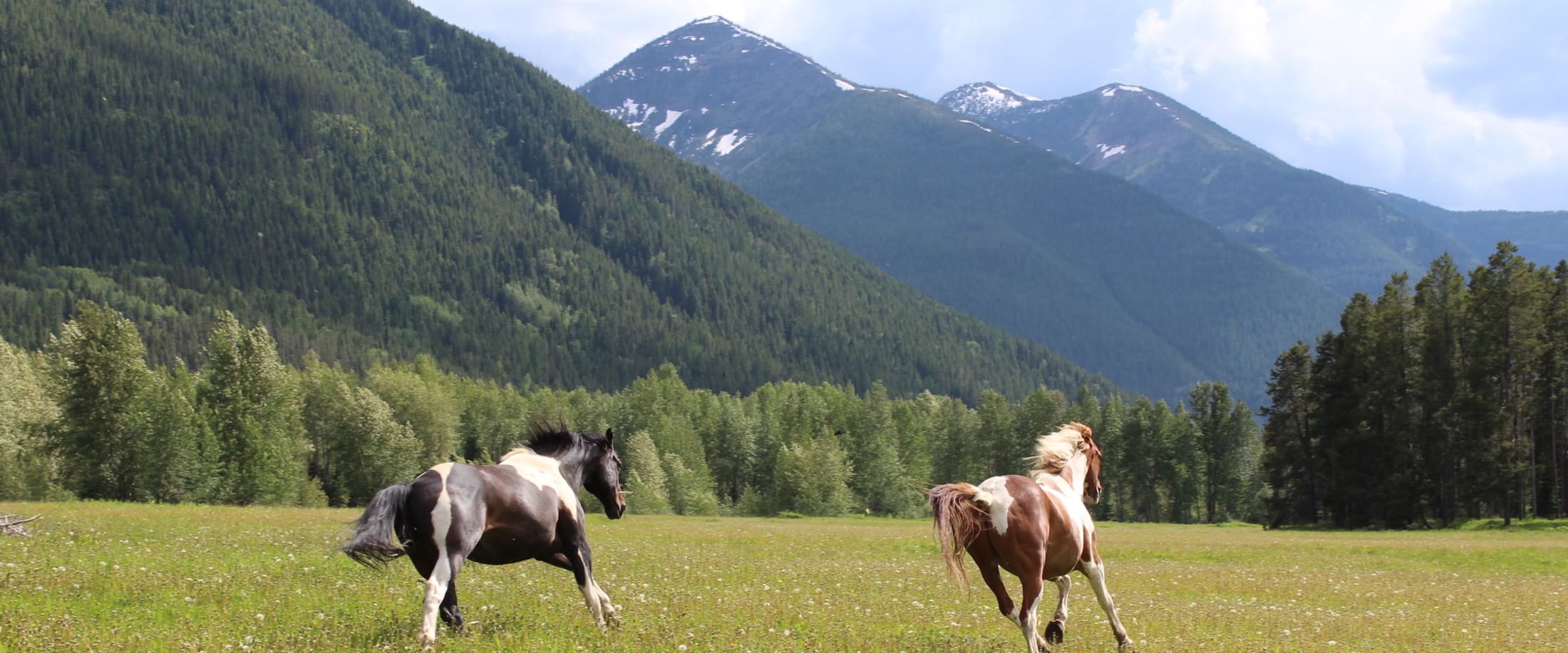 Bear Creek Guest Ranch Montana Horseback Riding & Cabin Lodging