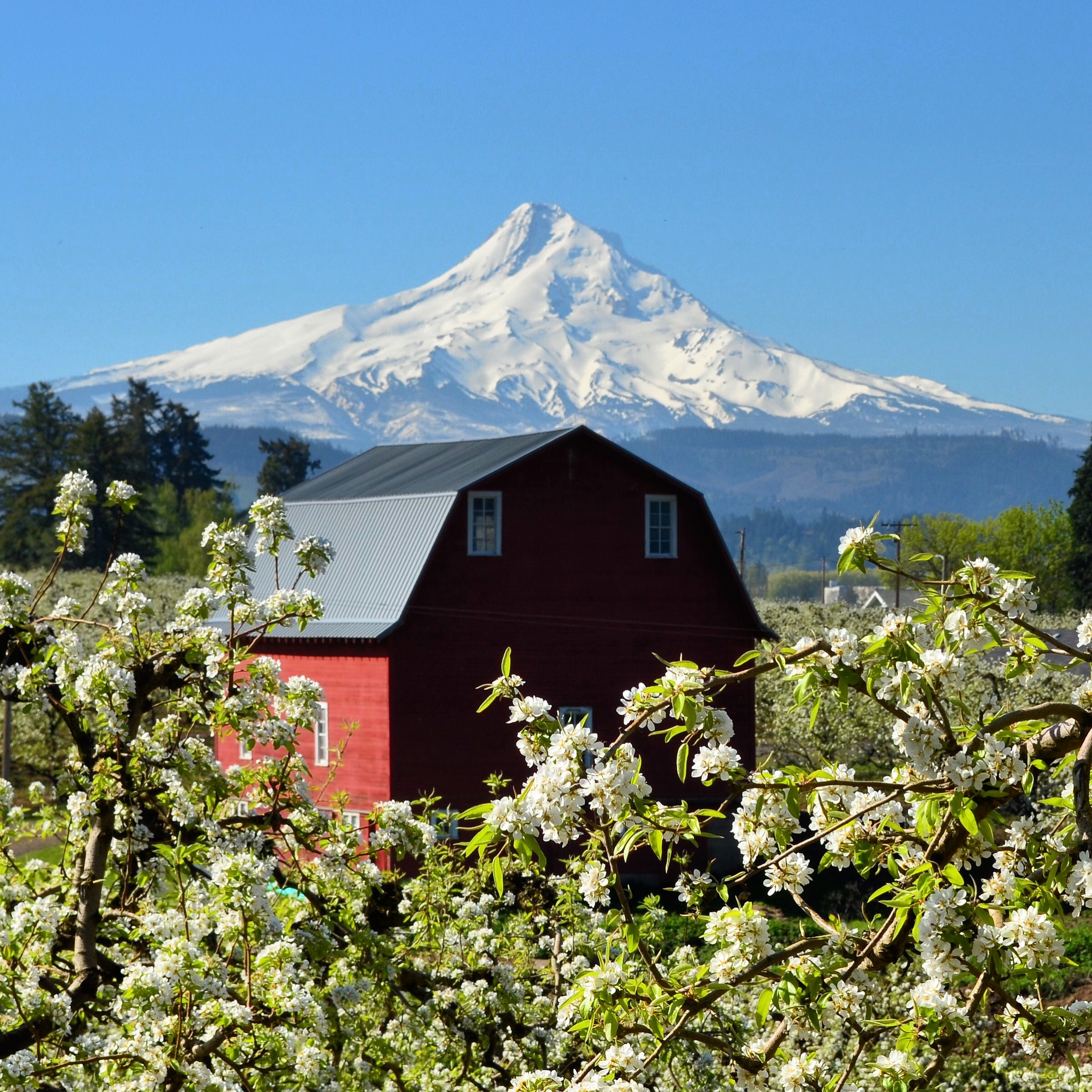 5 Things You Can Do In Parkdale this Spring Old Parkdale Inn blog