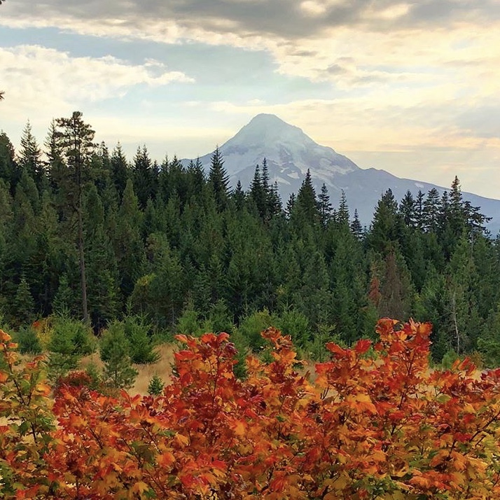 Reasons To Visit The Hood River Valley This Fall Old Parkdale Inn Blog 