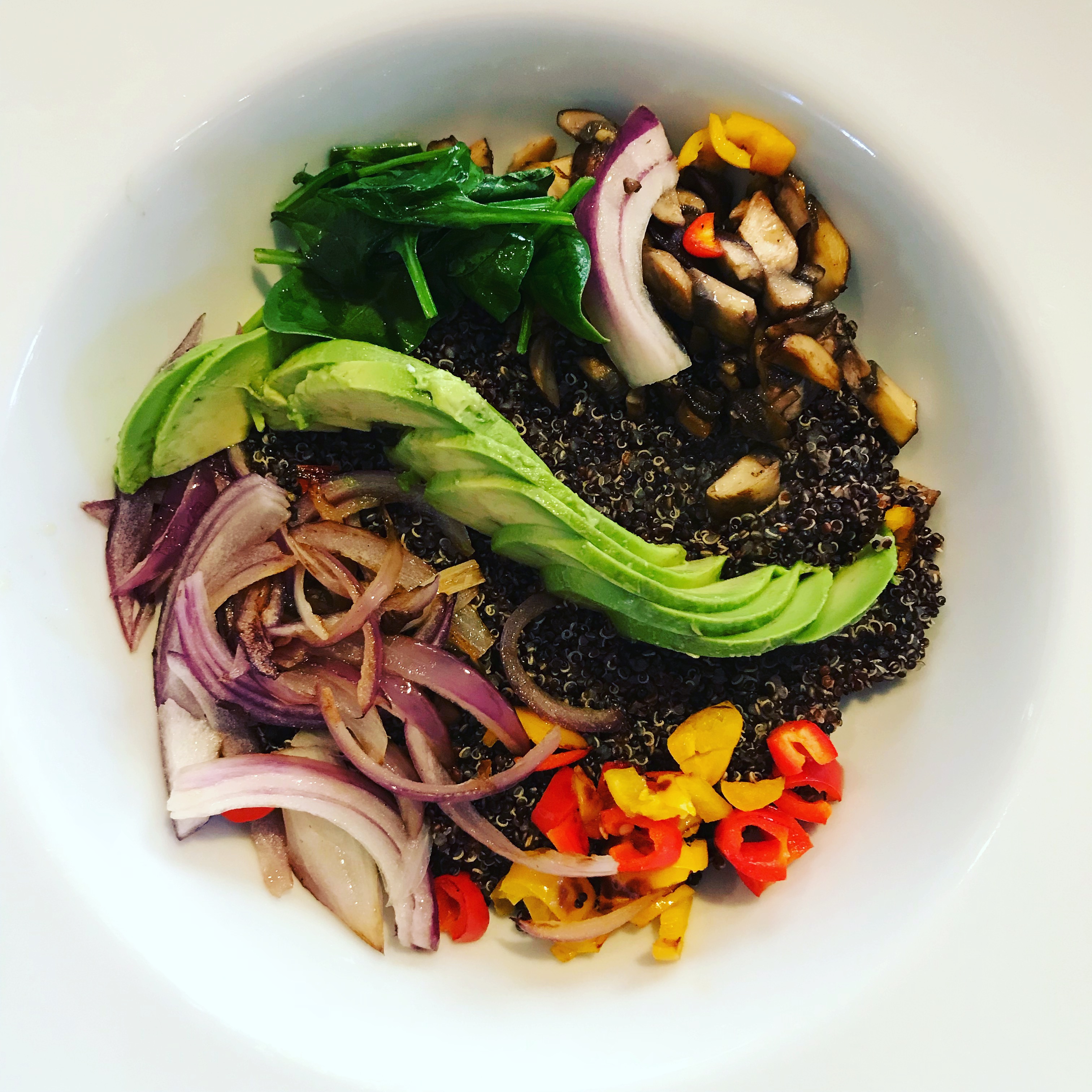 Eating Vegan in Burlington Made INN Vermont, an UrbanChic Boutique